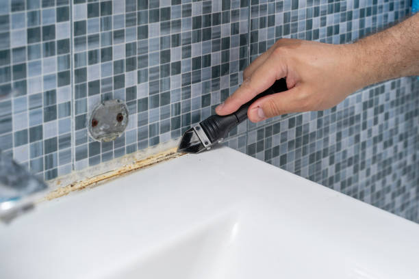 Best Fast Mold Removal  in Svis, IL