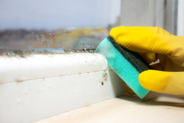 Water Damage Restoration in Silvis, IL