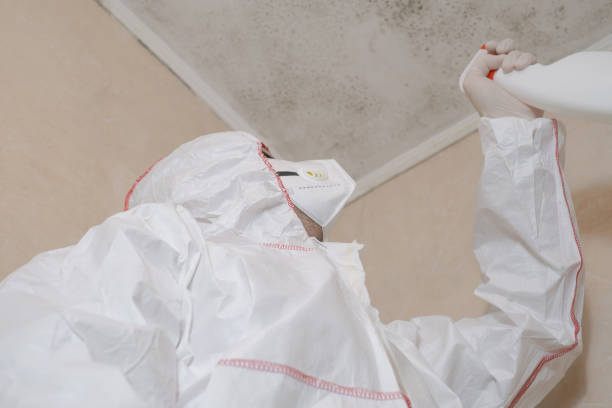 Best Affordable Mold Removal  in Svis, IL