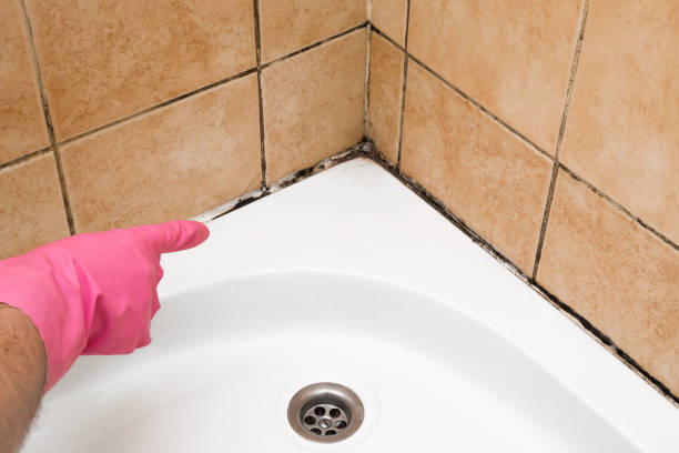 Best Mold Testing  in Svis, IL